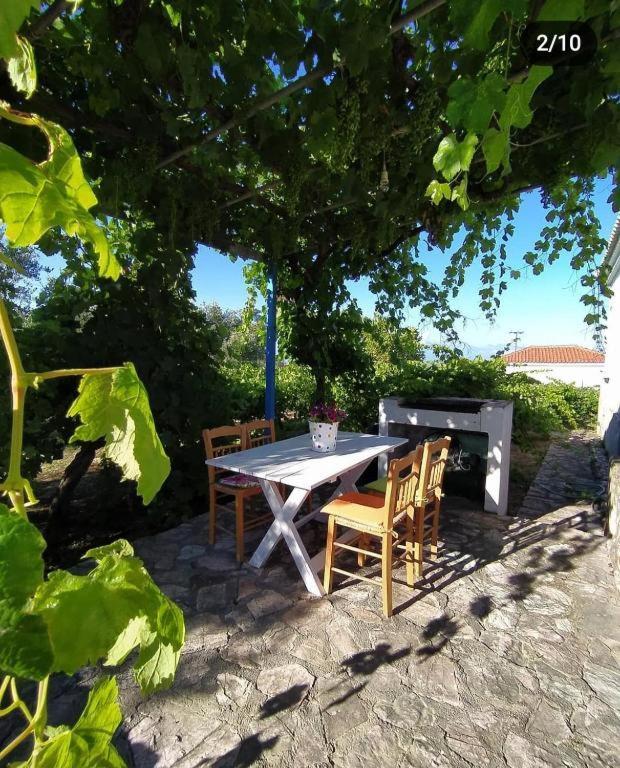 Vasilopoulos Estate Ii Asini (Messenia)
