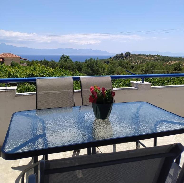 Vasilopoulos Estate Ii * Asini (Messenia)